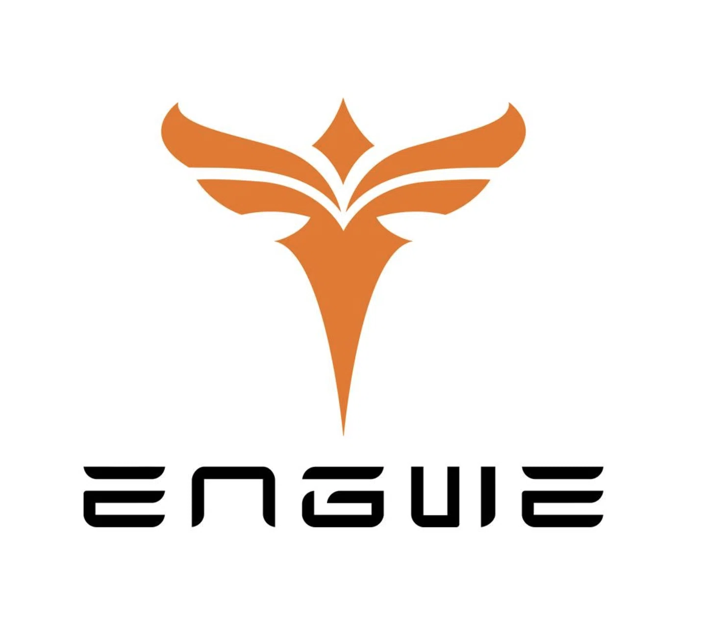 Engwe Bikes Uk Discount Codes November 2025 - 90% Off