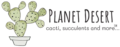 Planet Desert Coupon Codes January 2026 - 50% Off